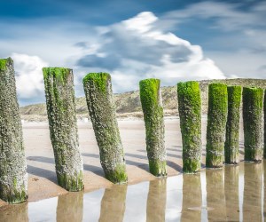 Get Vvv Zeeland Lodging Online Booking Desktop Wallpaper Free Wallpaper Vvv Zeeland Lodging Online Booking Desktop Wallpaper