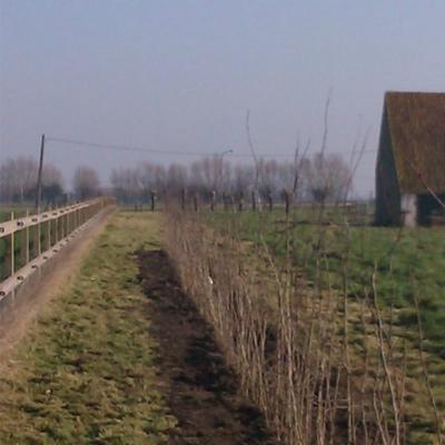 Bed-Breakfast_Herenshof_1714-Koksijde