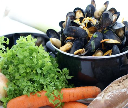 Download Hotel De Boekanier Vrouwenpolder Secure Reservations Desktop Wallpaper Free Get Wallpaper Hotel De Boekanier Vrouwenpolder Secure Reservations Free HD