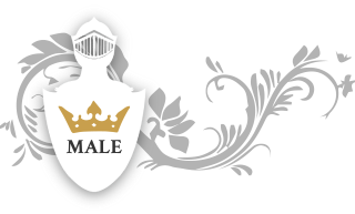 Lodewijk van Male