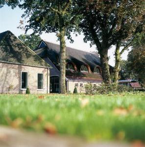 Lubbelinkhof_Hampshire_Classic-Odoorn-TA Odoorn