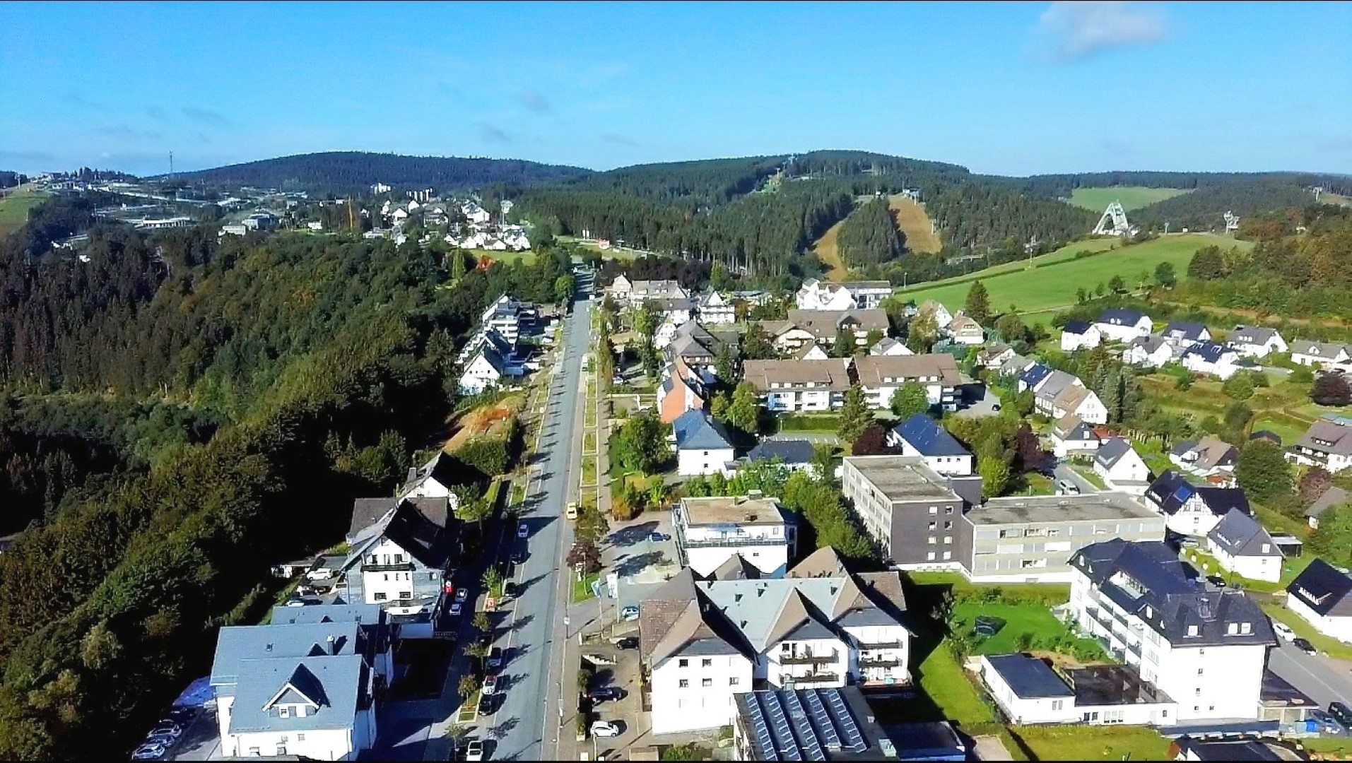 Die Zwei Löwen