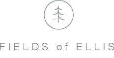 Fields of Ellis