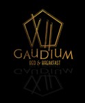 Gaudium XII