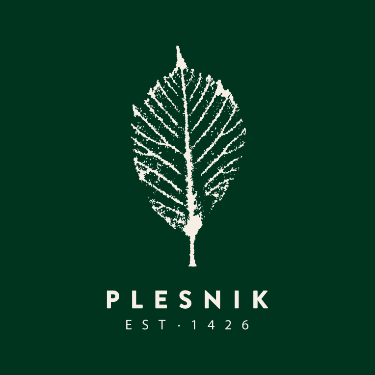 Hotel Plesnik