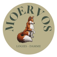 Moervos